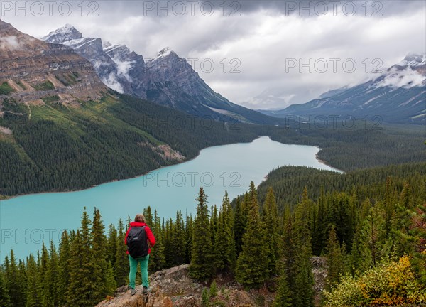 Hiker looks out into nature