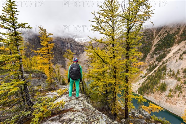 Hiker at the summit of The Beehive