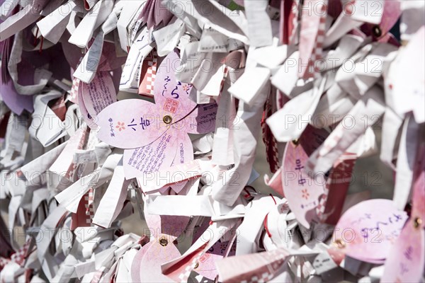 Wishes on paper cherry blossoms on a wall at the Hanami Cherry Blossom Festival