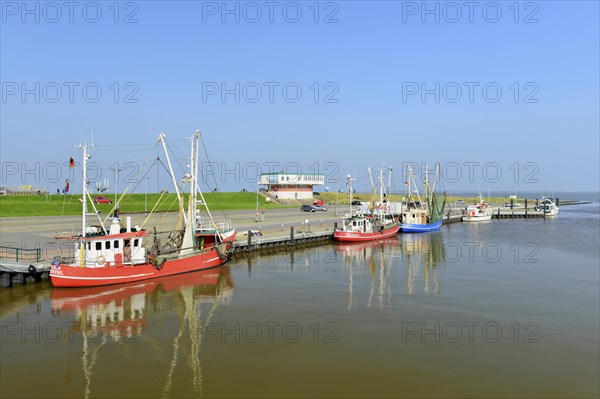 Fishing cutter in the harbour of Dorumersiel