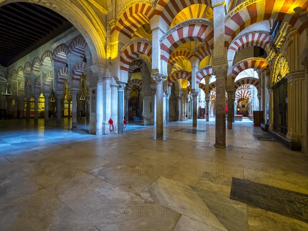 Interior of the Mosque of Cordoba