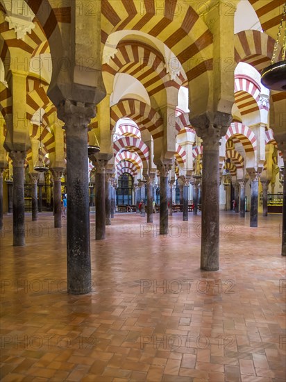 Interior of the Mosque of Cordoba