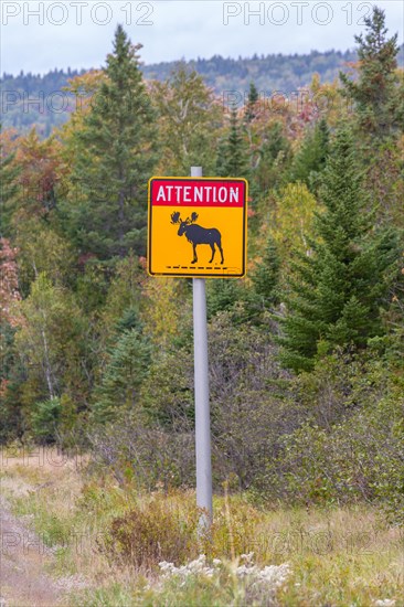 Road sign