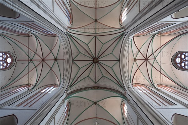 Gothic ceiling vault