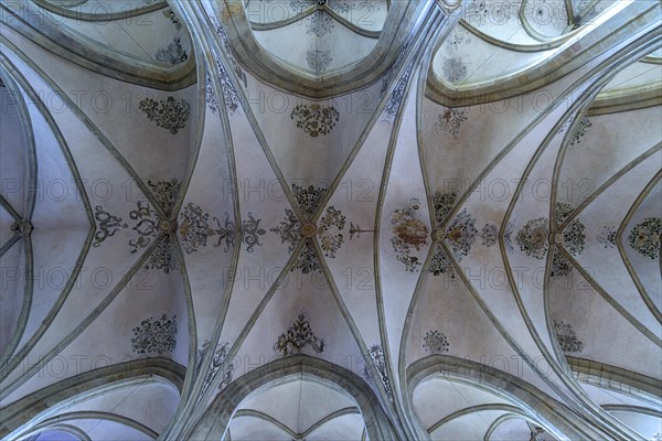 Painted ceiling vault of the Church of the Apostles