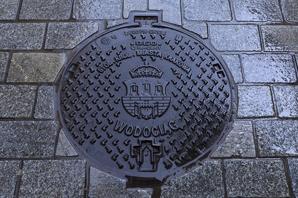 Wet manhole cover with the city coat of arms of Krakow