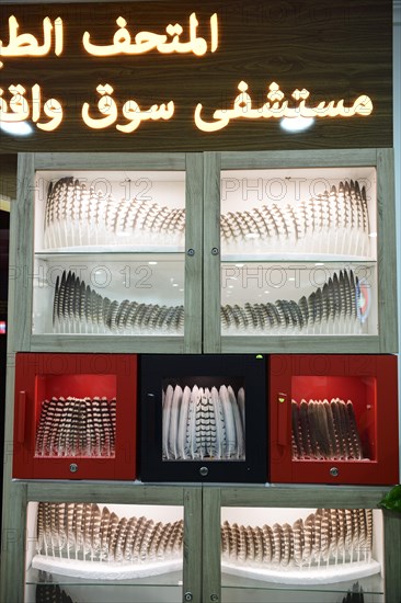 Cabinet with different springs