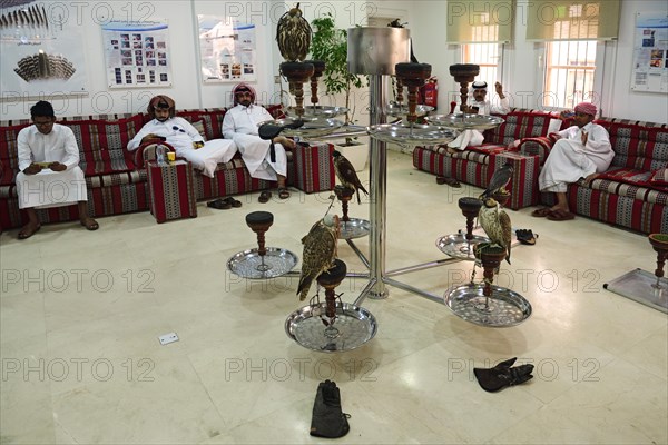 Waiting room and reception hall in Falken Hospital