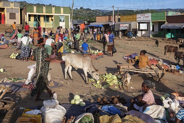 Market with vegetables in Jinka