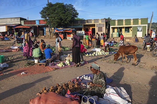 Market with vegetables in Jinka