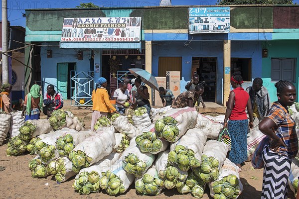 Market with vegetables in Jinka