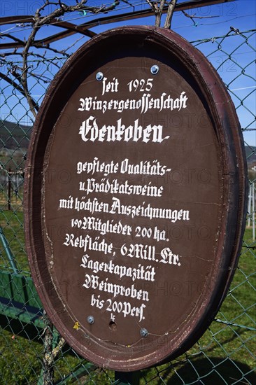 Wine Blessed Proverbs along the Almond Trail of Edenkoben