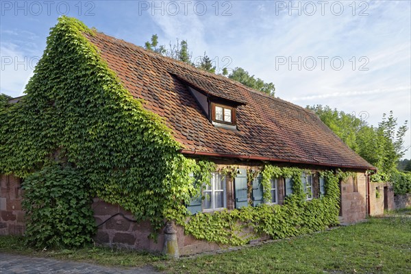 Worker's House covered with vine tendrils