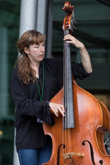 The Swiss music trio Forlorn Elm with David Friedli at the Gitrarre