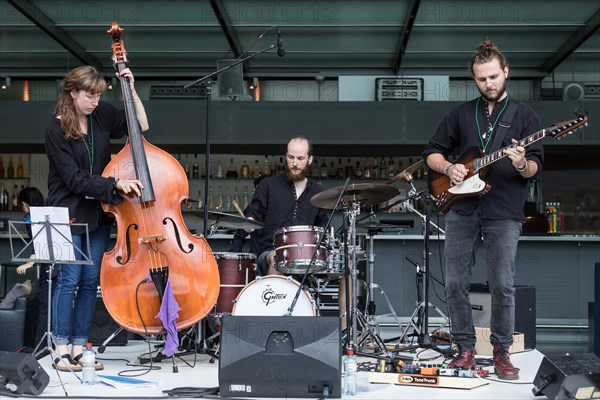 The Swiss music trio Forlorn Elm with David Friedli at the Gitrarre