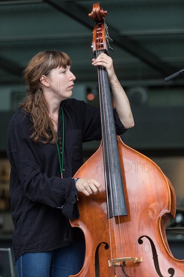 The Swiss music trio Forlorn Elm with David Friedli at the Gitrarre