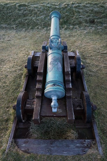 Cannon