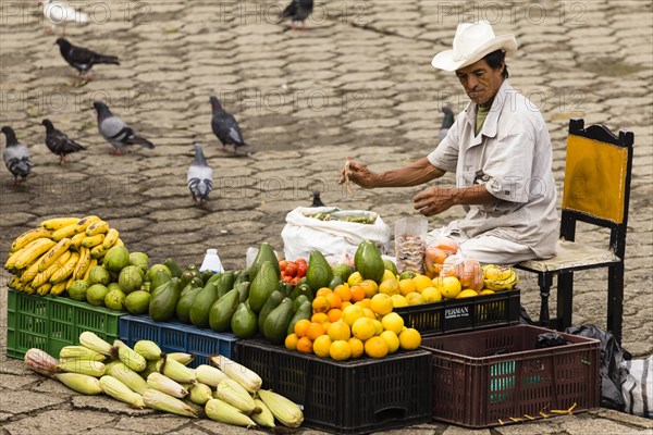 Man selling fruits and vegetables in the street