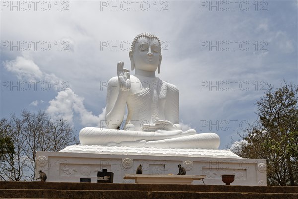 White Buddha Statue