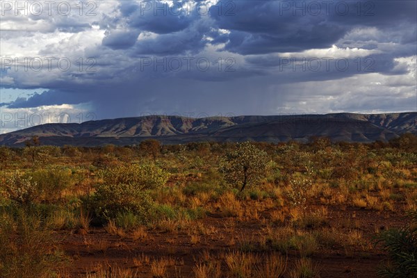 Australian outback landscape