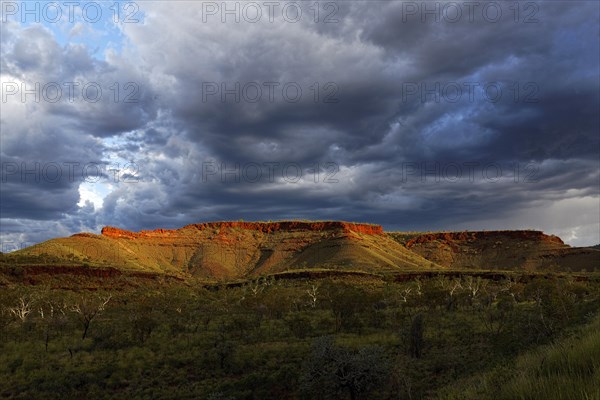 Australian outback landscape