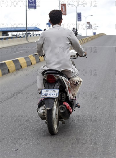 Man with moped and a dog