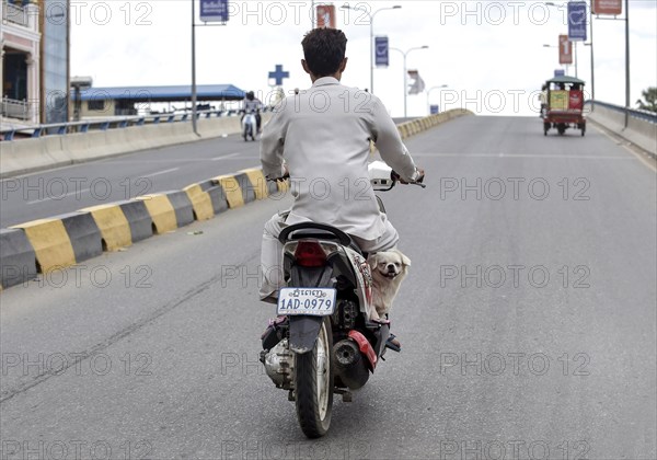 Man with moped and a dog