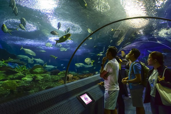 Visitors look at fish in the aquarium