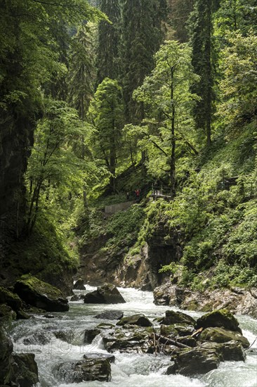 River Breitach and gorge Breitachklamm