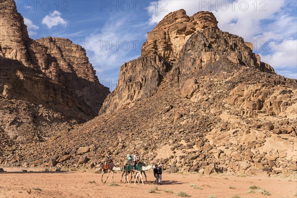 Camels with tourists in the desert Wadi Rum