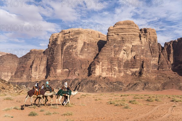 Camels with tourists in the desert Wadi Rum