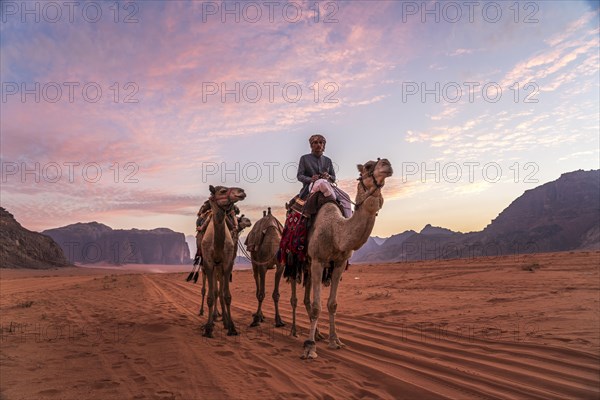 Bedouin with camels in the desert Wadi Rum