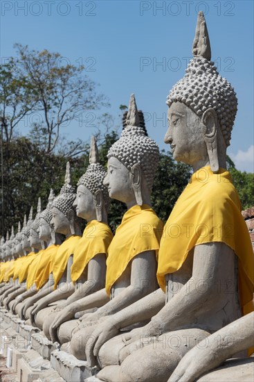 Row of Buddha statues