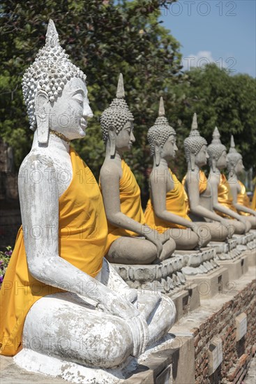 Row of Buddha statues