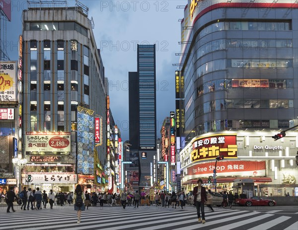 Kabukicho crossing at nightfall