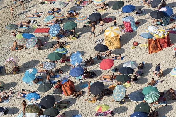 Many people with colorful sunshades at Tropea Beach