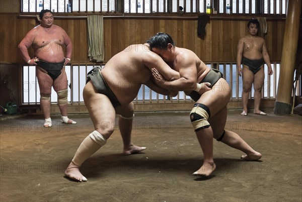 Wrestlers Sumo Training Session