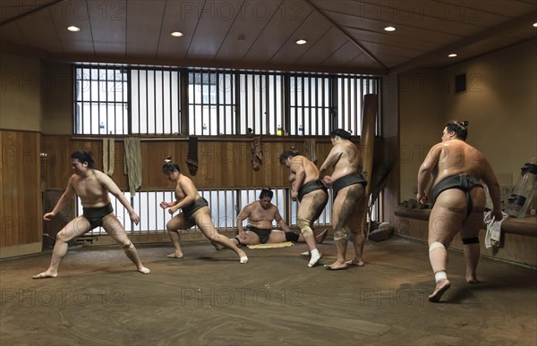 Wrestlers Sumo Training Session