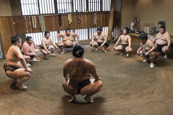 Wrestlers Sumo Training Session