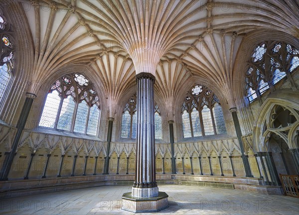 Vaulted ceiling of the Chapter House of the medieval Wells Cathedral