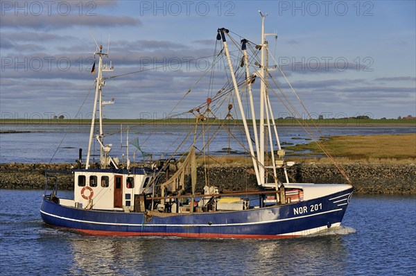 Fishing boat in Norddeich Mole channel