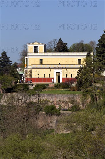 Pompejanum on the high banks of the River Main