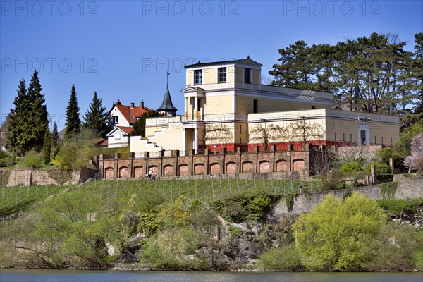 Pompejanum on the high banks of the River Main