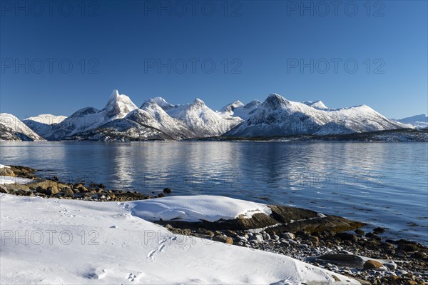 Coastal landscape by the fjord