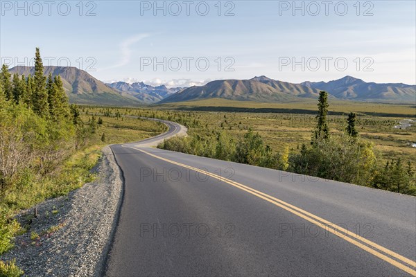 Road in Denali National Park