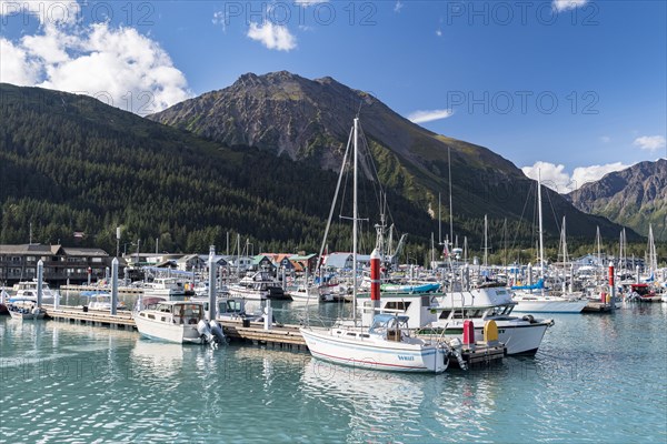 Boats in port