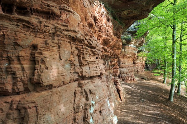 Altschlossfelsen