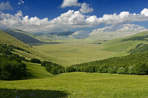 Castelluccio