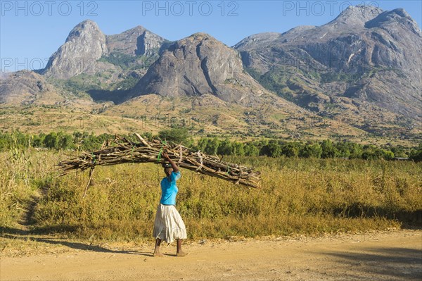 Girl with huge pile of wood carrying wood on her head before Mount Mulanje