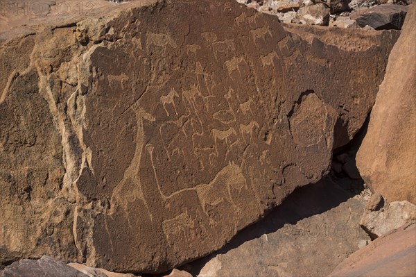 Ancient rock engravings